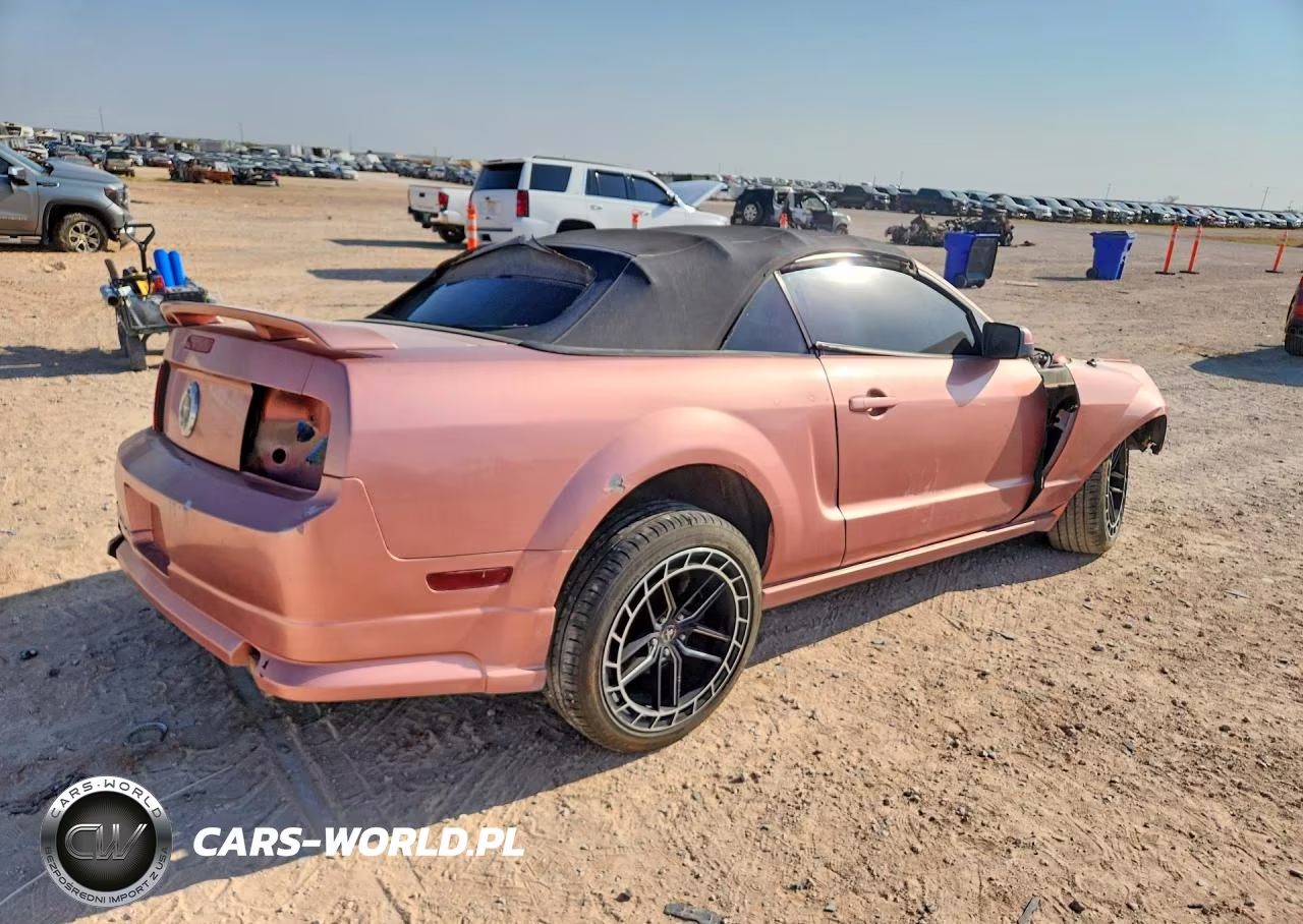 2006 Ford Mustang VIN:1ZVFT84N465224791 - 3