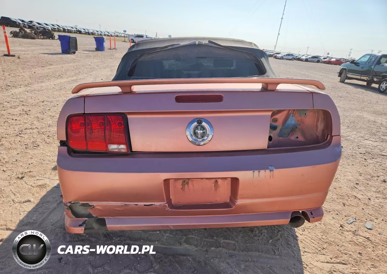2006 Ford Mustang VIN:1ZVFT84N465224791 - 6