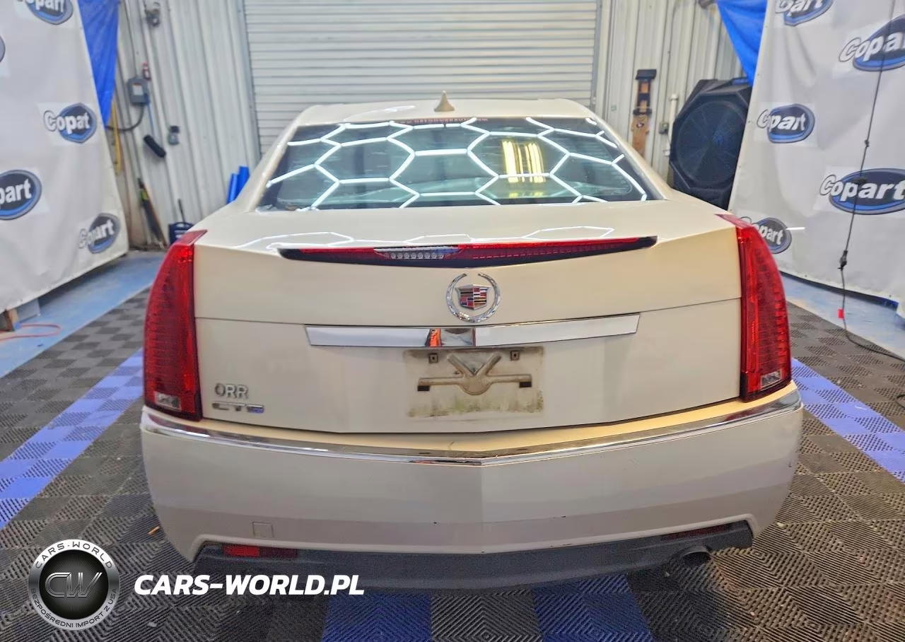 2010 Cadillac Cts Luxury Collection VIN:1G6DE5EG0A0138051 - 6