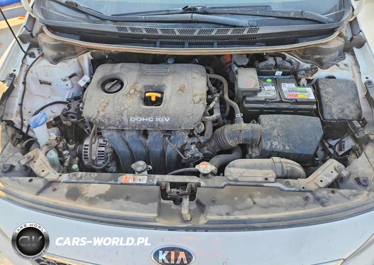 2017 Kia Forte Lx VIN:3KPFK4A79HE156693 - 11