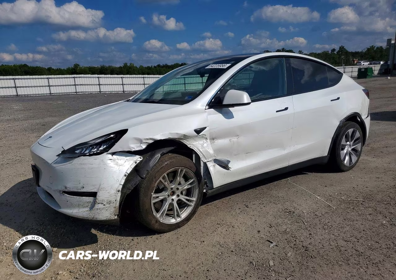 2021 Tesla Model Y VIN:5YJYGDEEXMF254669 - 1