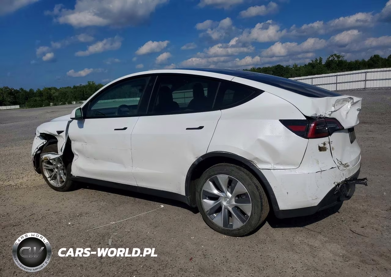 2021 Tesla Model Y VIN:5YJYGDEEXMF254669 - 2