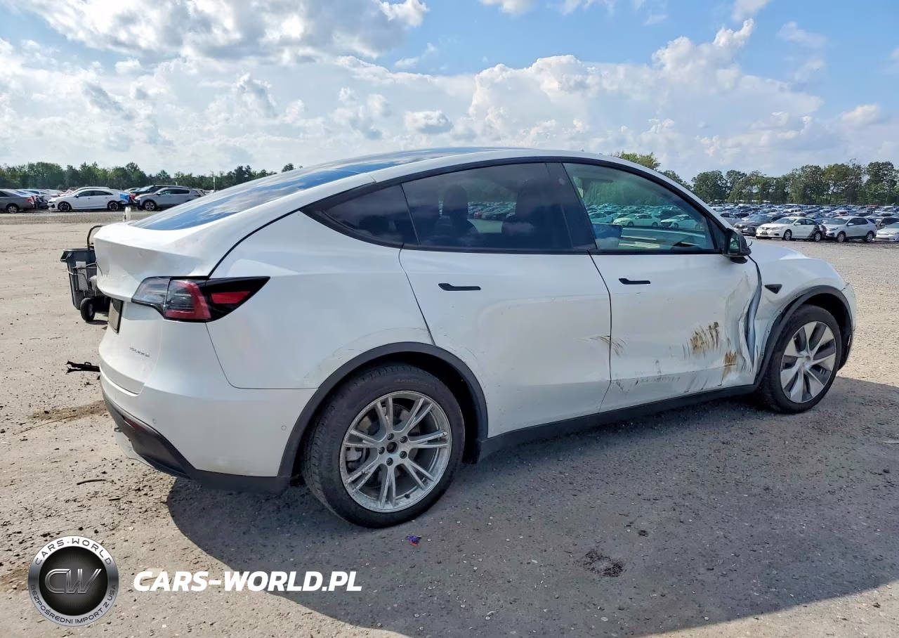 2021 Tesla Model Y VIN:5YJYGDEEXMF254669 - 3