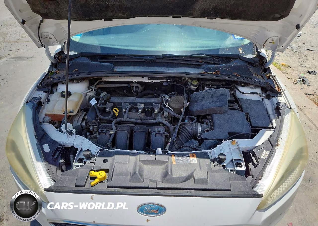 2015 Ford Focus Se VIN:1FADP3F24FL255321 - 11