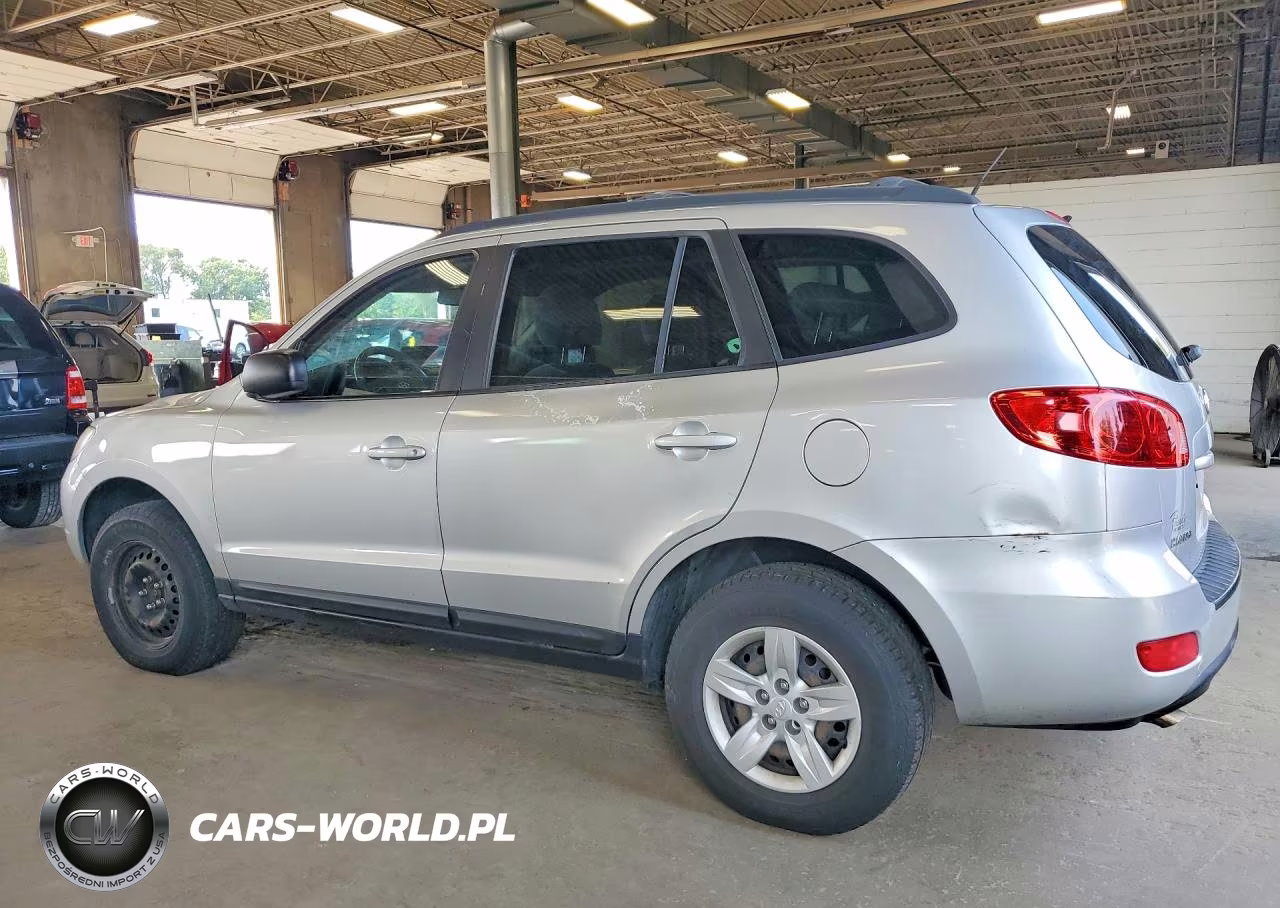2009 Hyundai Santa Fe Gls VIN:5NMSG73D99H256291 - 2