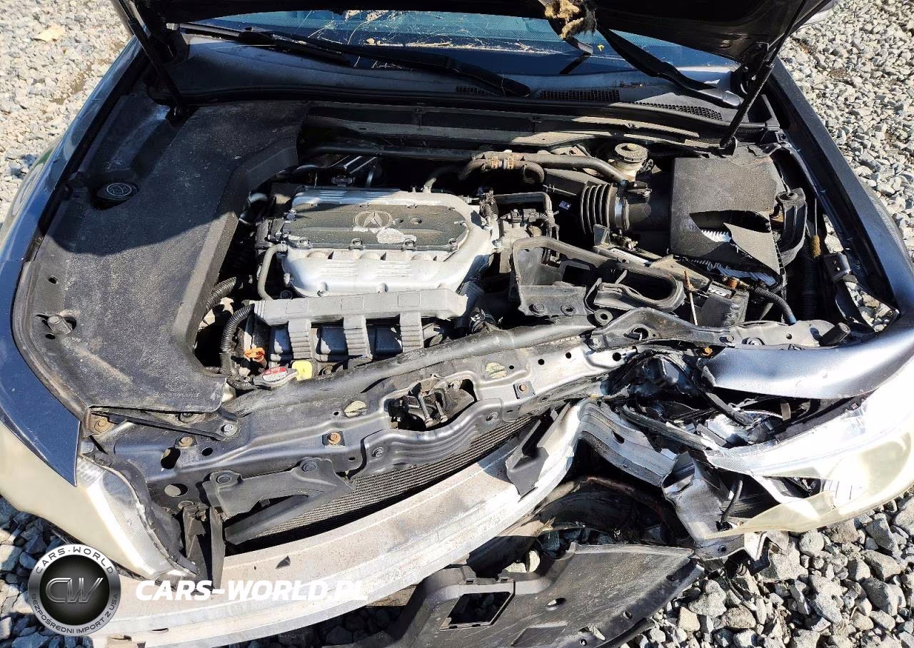 2009 Acura Tl VIN:19UUA86579A006807 - 11