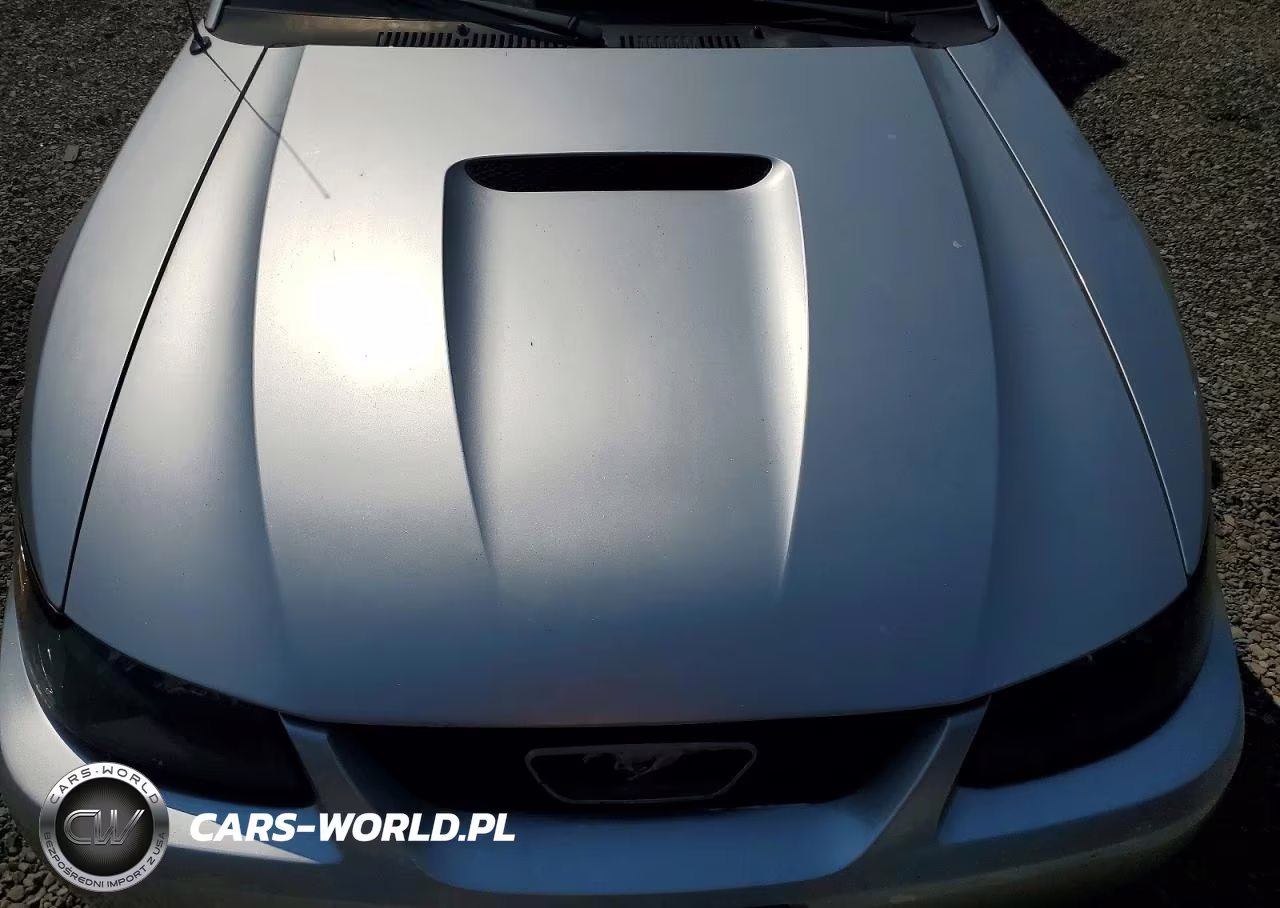 2001 Ford Mustang VIN:1FAFP44491F194784 - 11