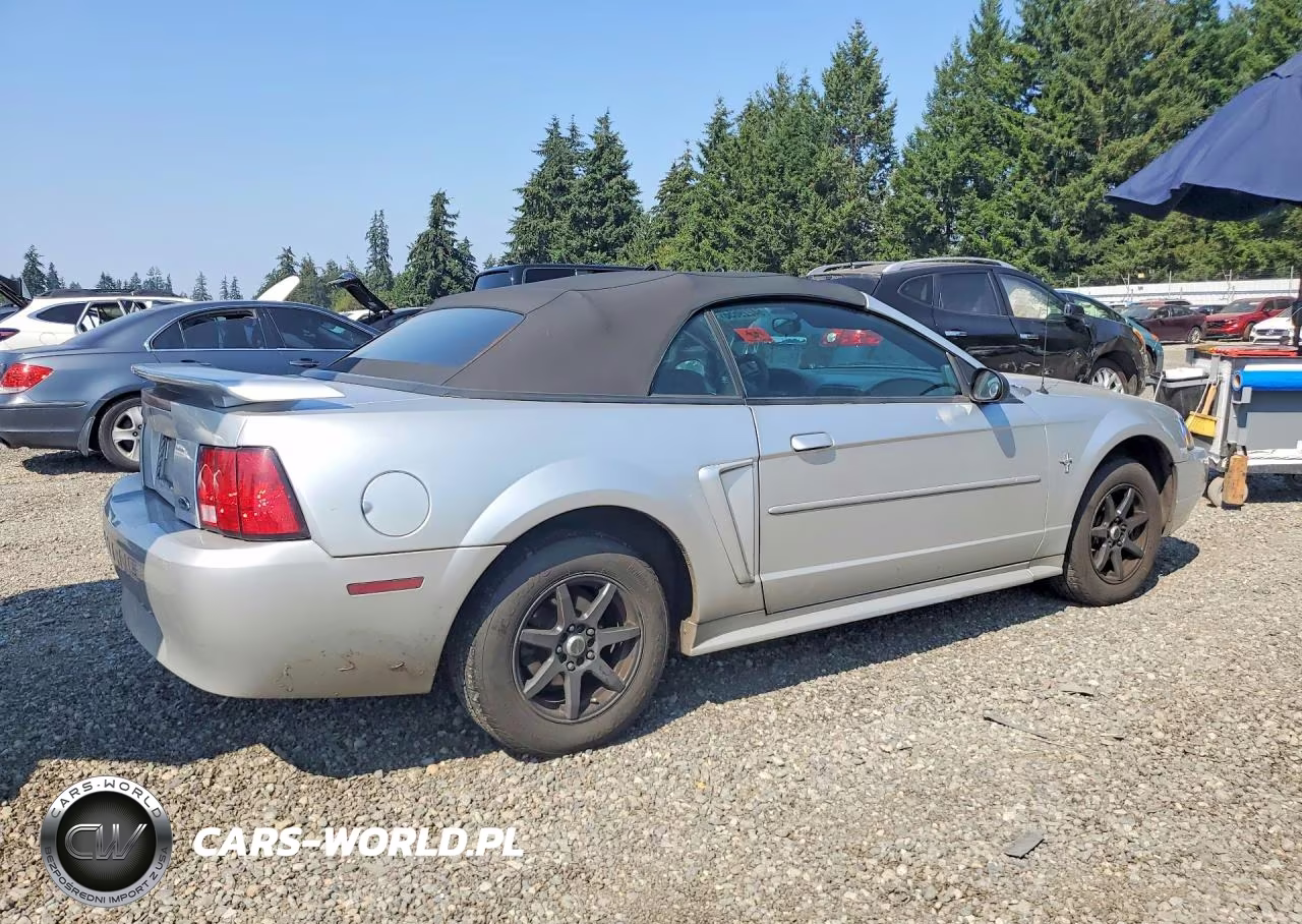 2001 Ford Mustang VIN:1FAFP44491F194784 - 3