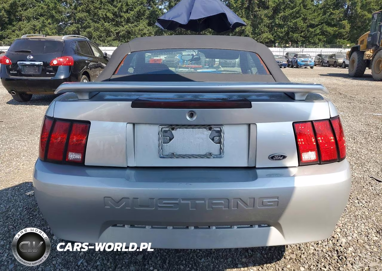 2001 Ford Mustang VIN:1FAFP44491F194784 - 6