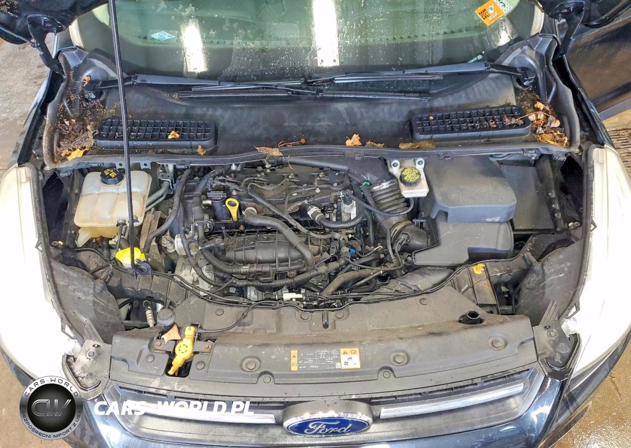 2015 Ford Escape Se VIN:1FMCU0GX9FUB87207 - 12