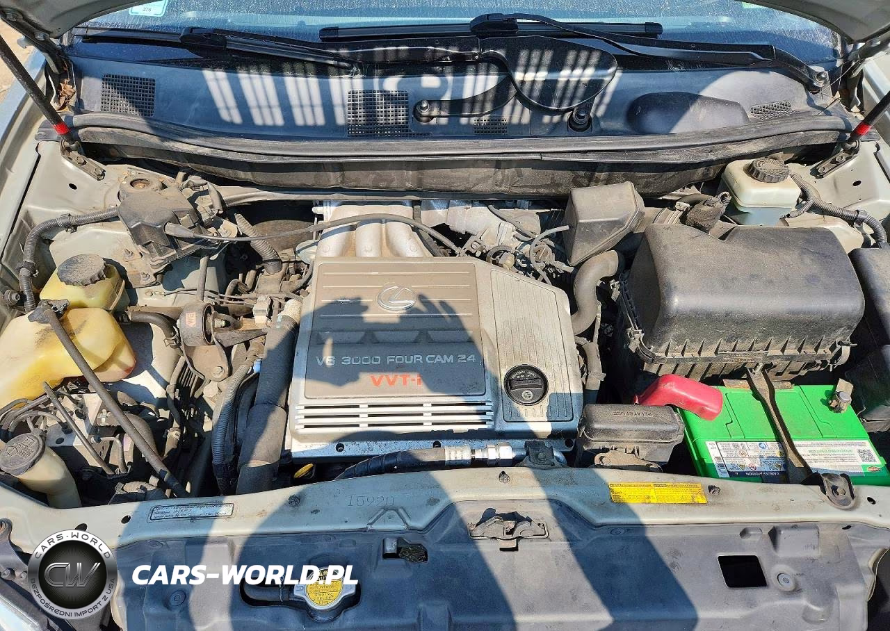2002 Lexus Rx 300 VIN:JTJHF10U820243078 - 12