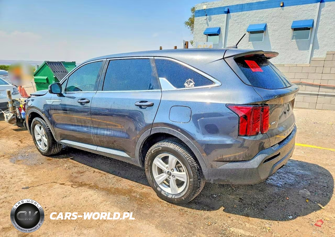 2022 Kia Sorento Lx VIN:5XYRGDLC6NG099795 - 2