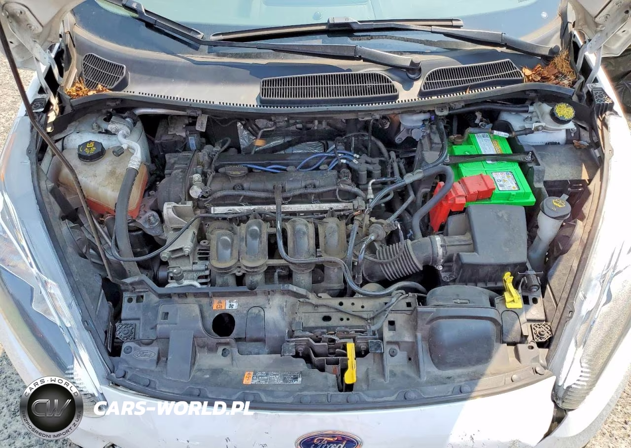 2015 Ford Fiesta Se VIN:3FADP4BJ5FM225536 - 11