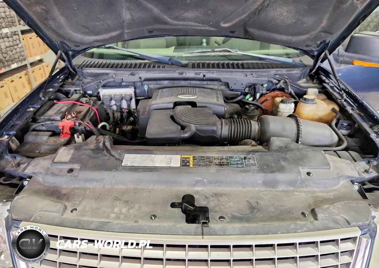 2003 Ford Expedition Eddie Bauer VIN:1FMPU18L53LB92229 - 12