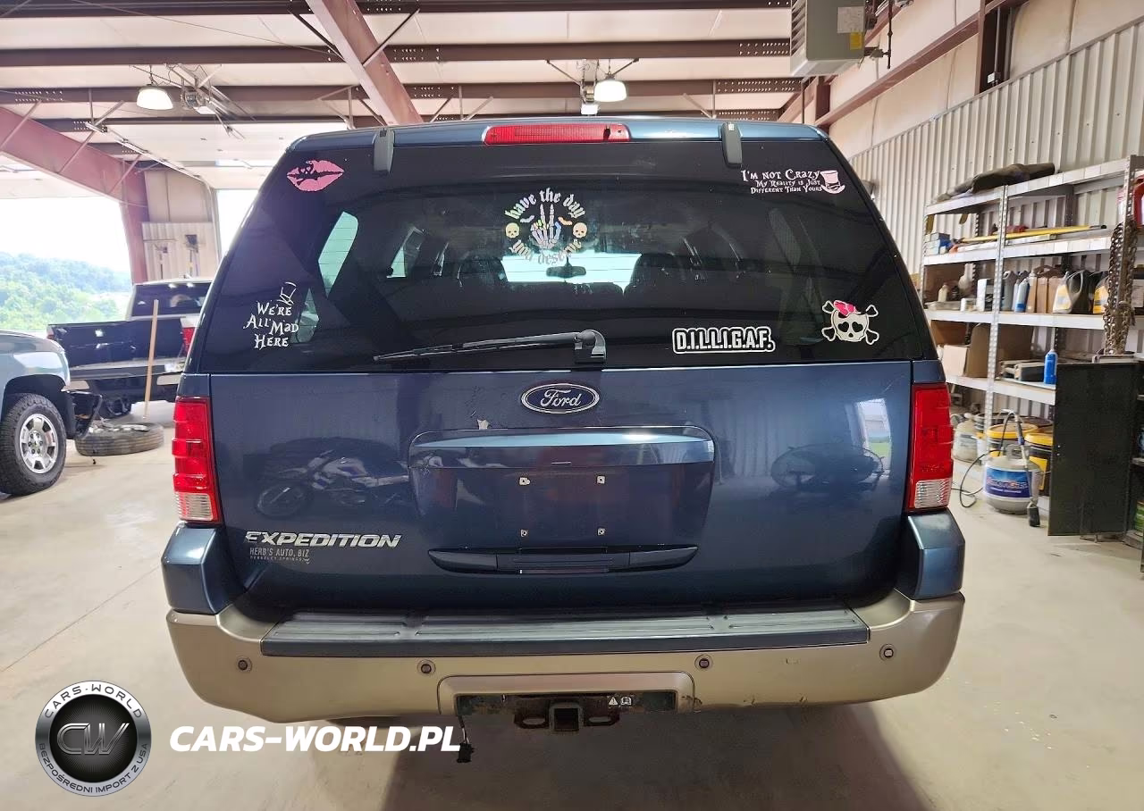 2003 Ford Expedition Eddie Bauer VIN:1FMPU18L53LB92229 - 6