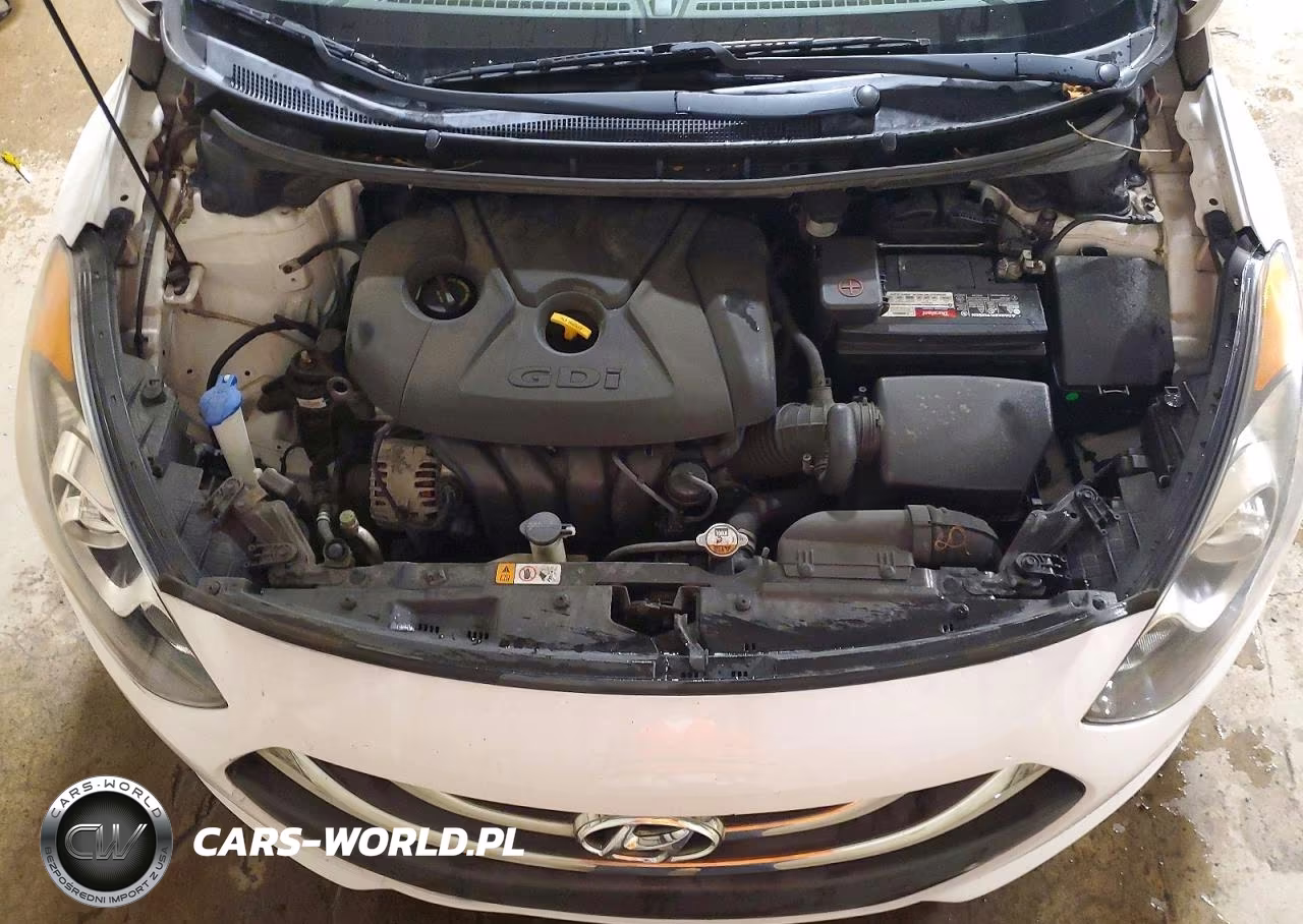 2014 Hyundai Elantra Gt Base VIN:KMHD35LH0EU215865 - 11