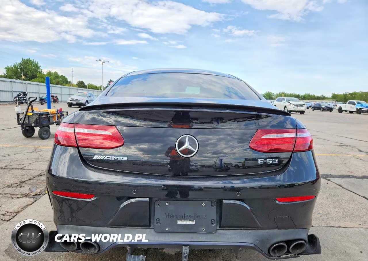 2019 Mercedes-Benz E Amg 53 VIN:WDD1J6BB2KF089384 - 6