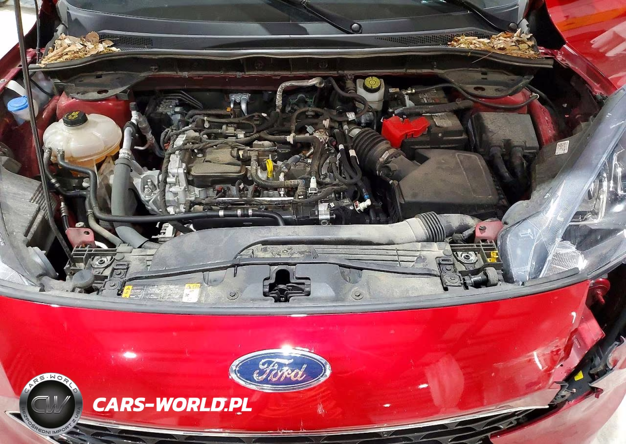 2022 Ford Escape Se VIN:1FMCU9G6XNUB43890 - 12