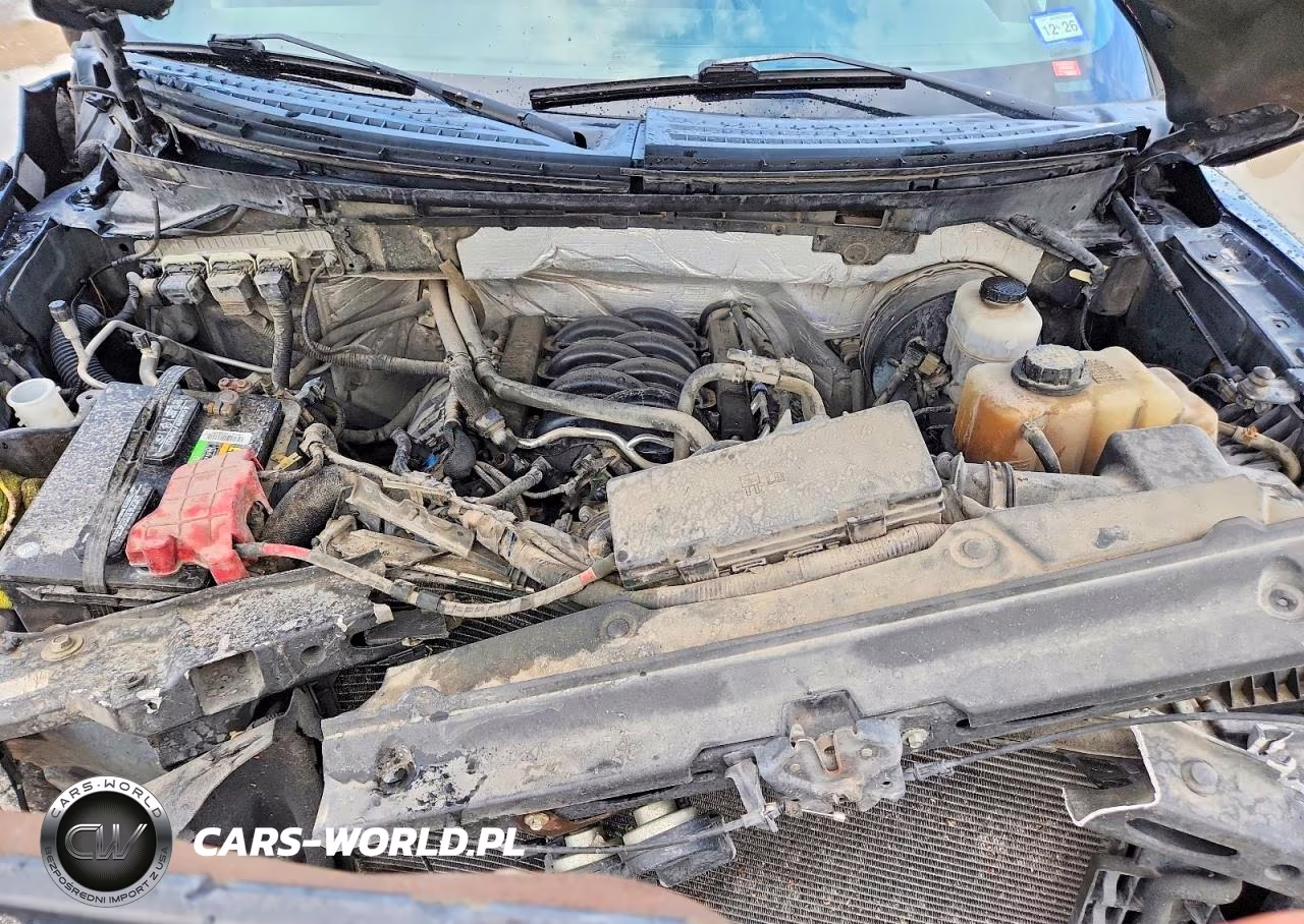 2013 Ford F150 Supercrew VIN:1FTFW1CF9DFB91743 - 11