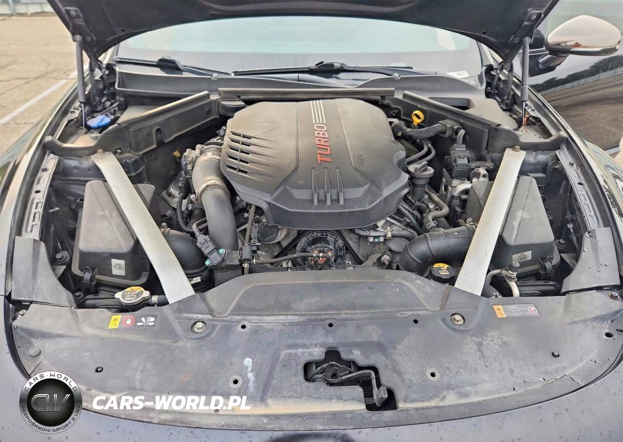2019 Kia Stinger Gt VIN:KNAE35LC0K6045016 - 11