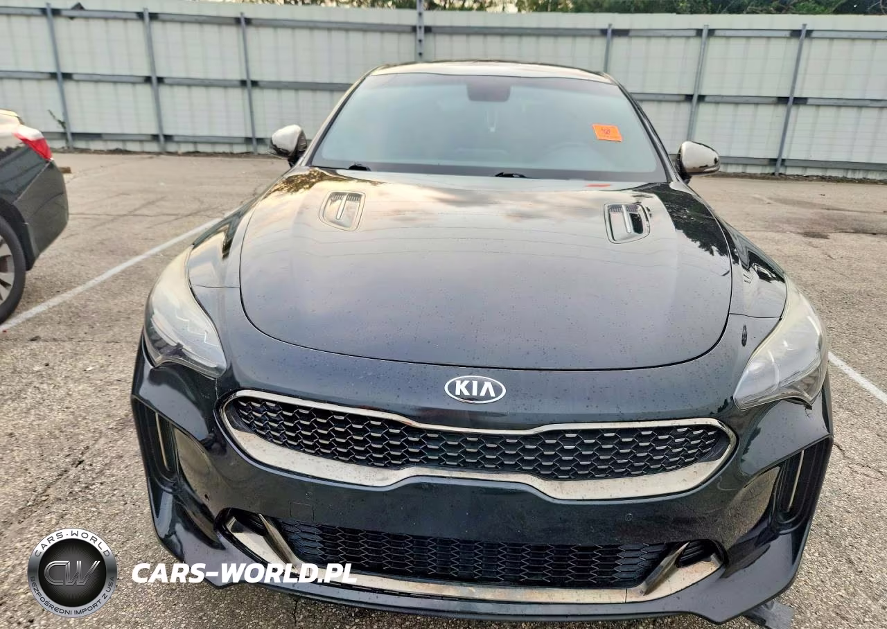 2019 Kia Stinger Gt VIN:KNAE35LC0K6045016 - 5