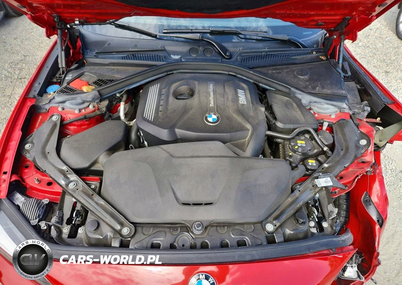 2018 BMW 230I VIN:WBA2M7C50JVA97413 - 11