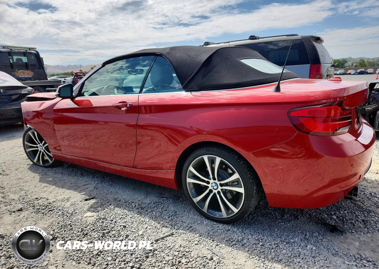 2018 BMW 230I VIN:WBA2M7C50JVA97413 - 2