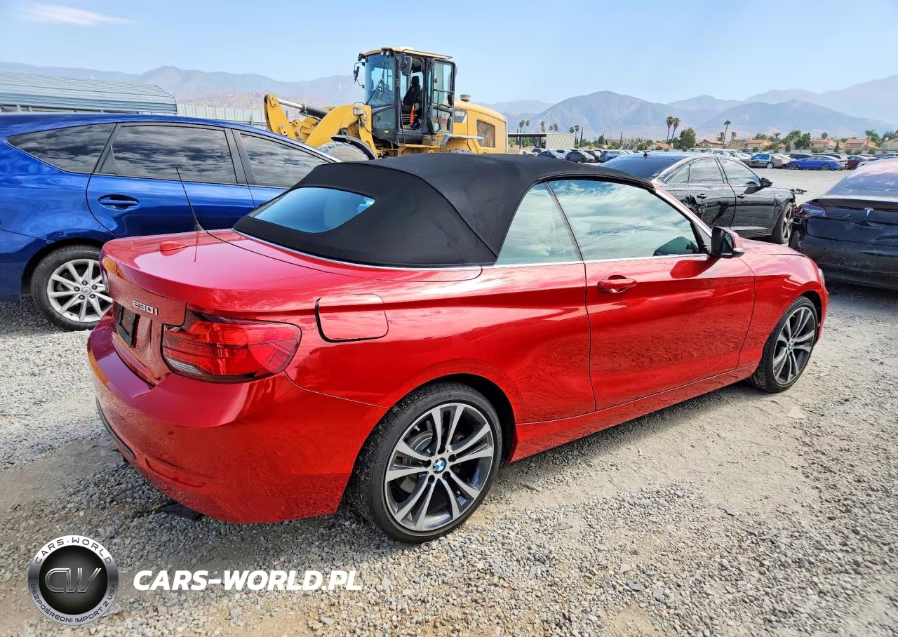 2018 BMW 230I VIN:WBA2M7C50JVA97413 - 3