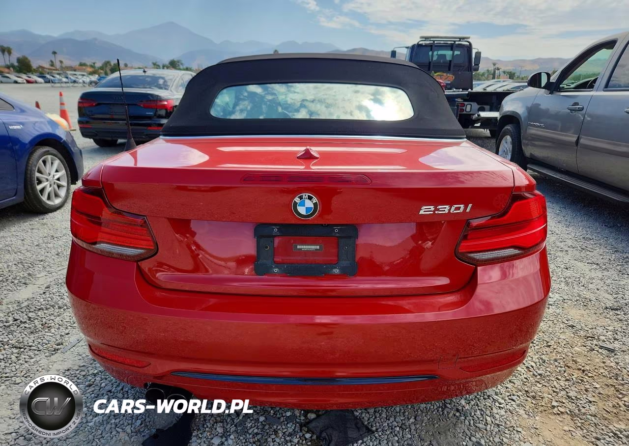 2018 BMW 230I VIN:WBA2M7C50JVA97413 - 6