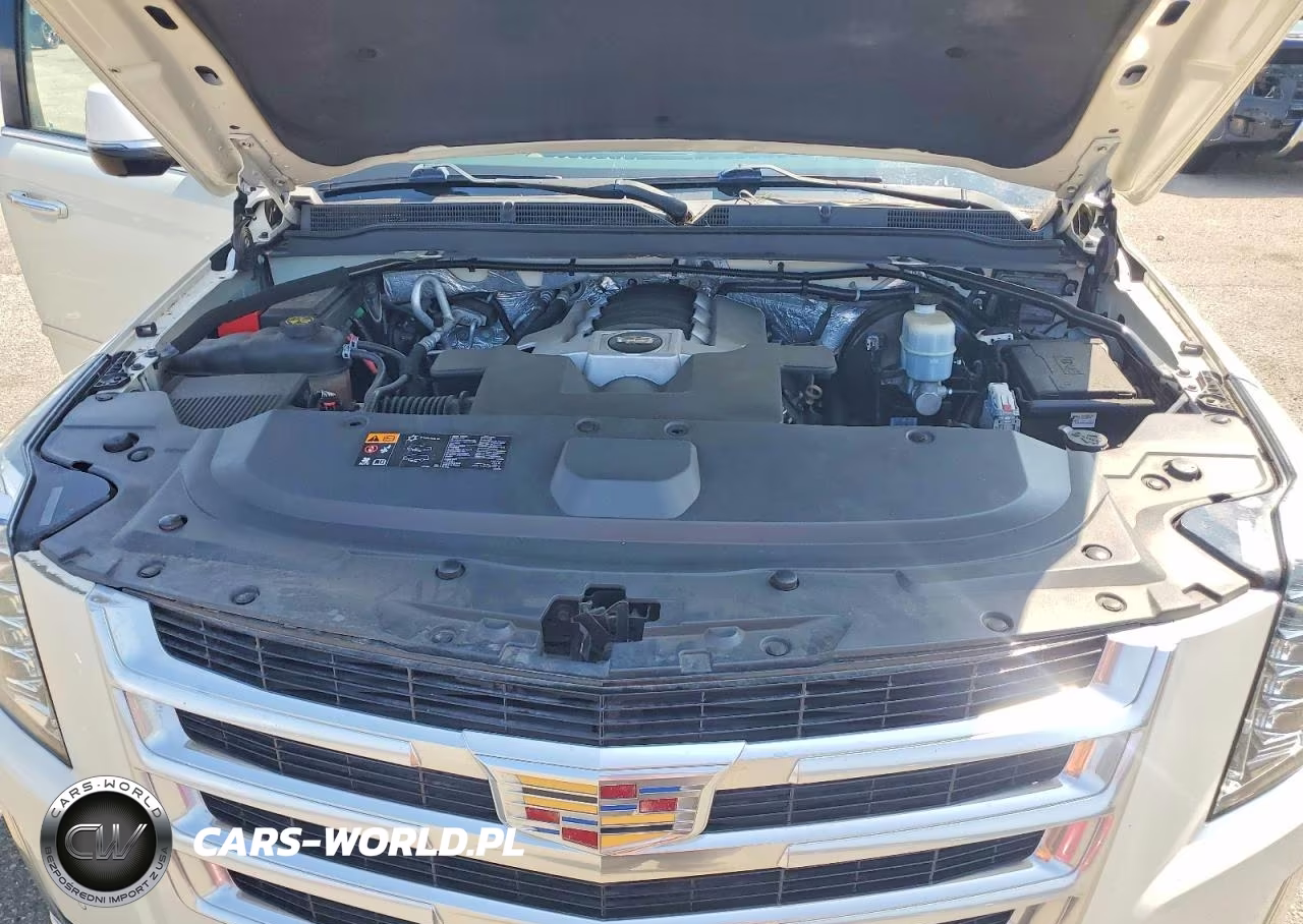2015 Cadillac Escalade Esv Premium VIN:1GYS4TKJ5FR705556 - 12