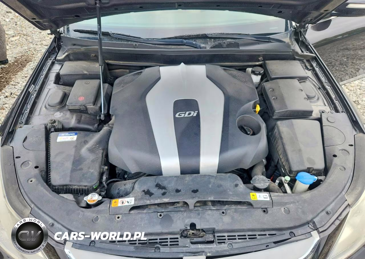 2014 Hyundai Genesis 3.8L VIN:KMHGC4DD4EU259547 - 11
