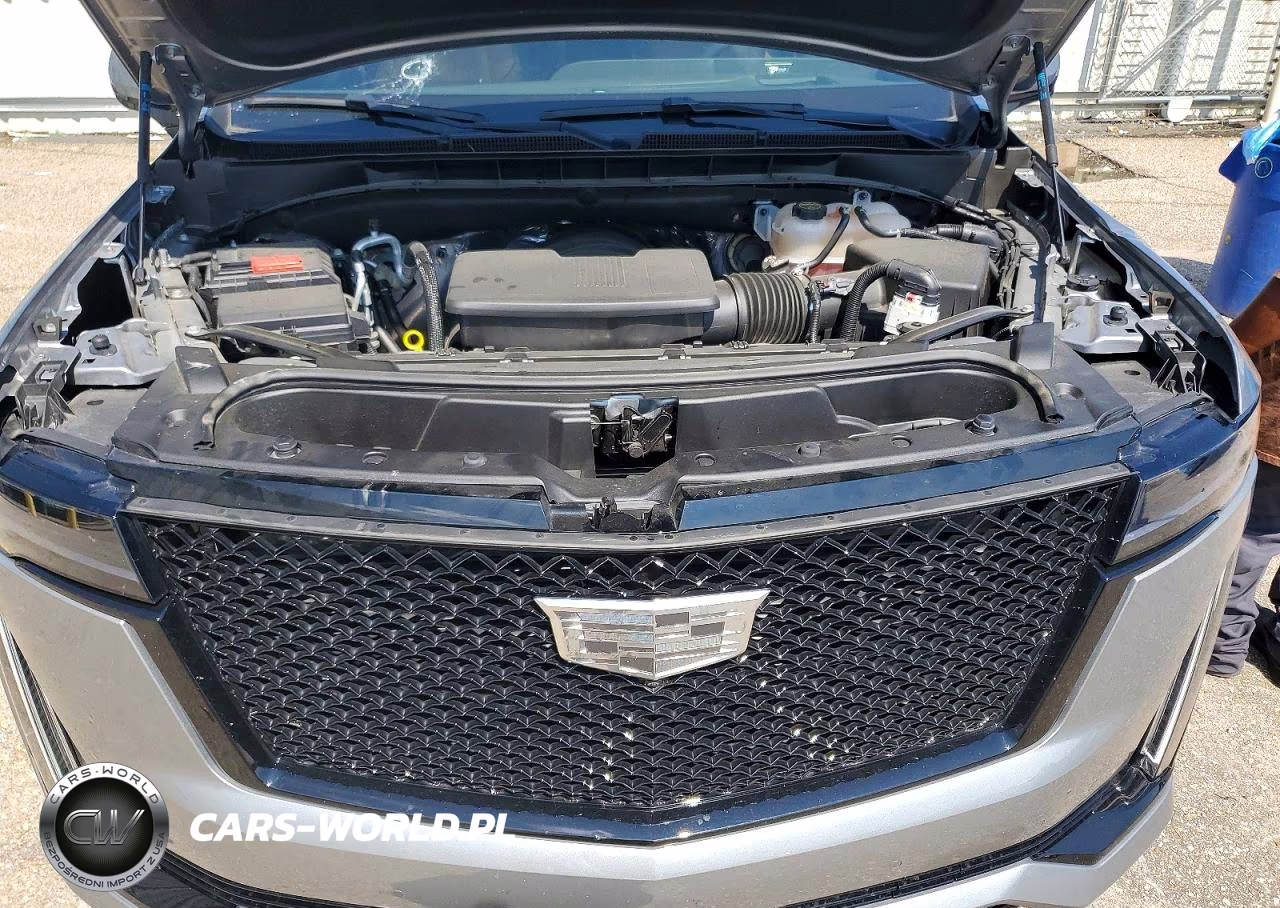 2024 Cadillac Escalade Sport VIN:1GYS4FKL0RR304701 - 12