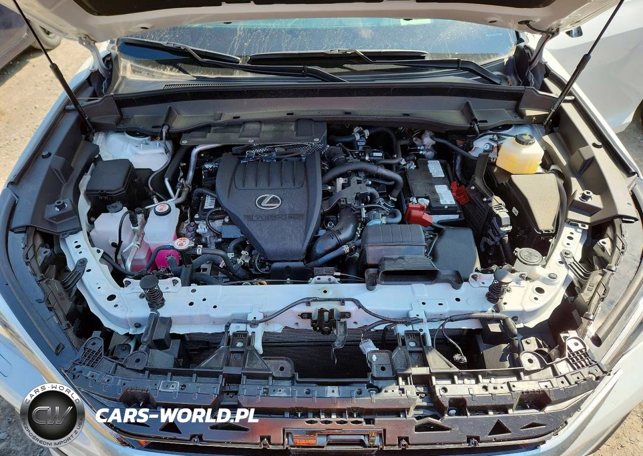 2025 Lexus Tx 350 Luxury VIN:5TDAAAB67SS038950 - 12