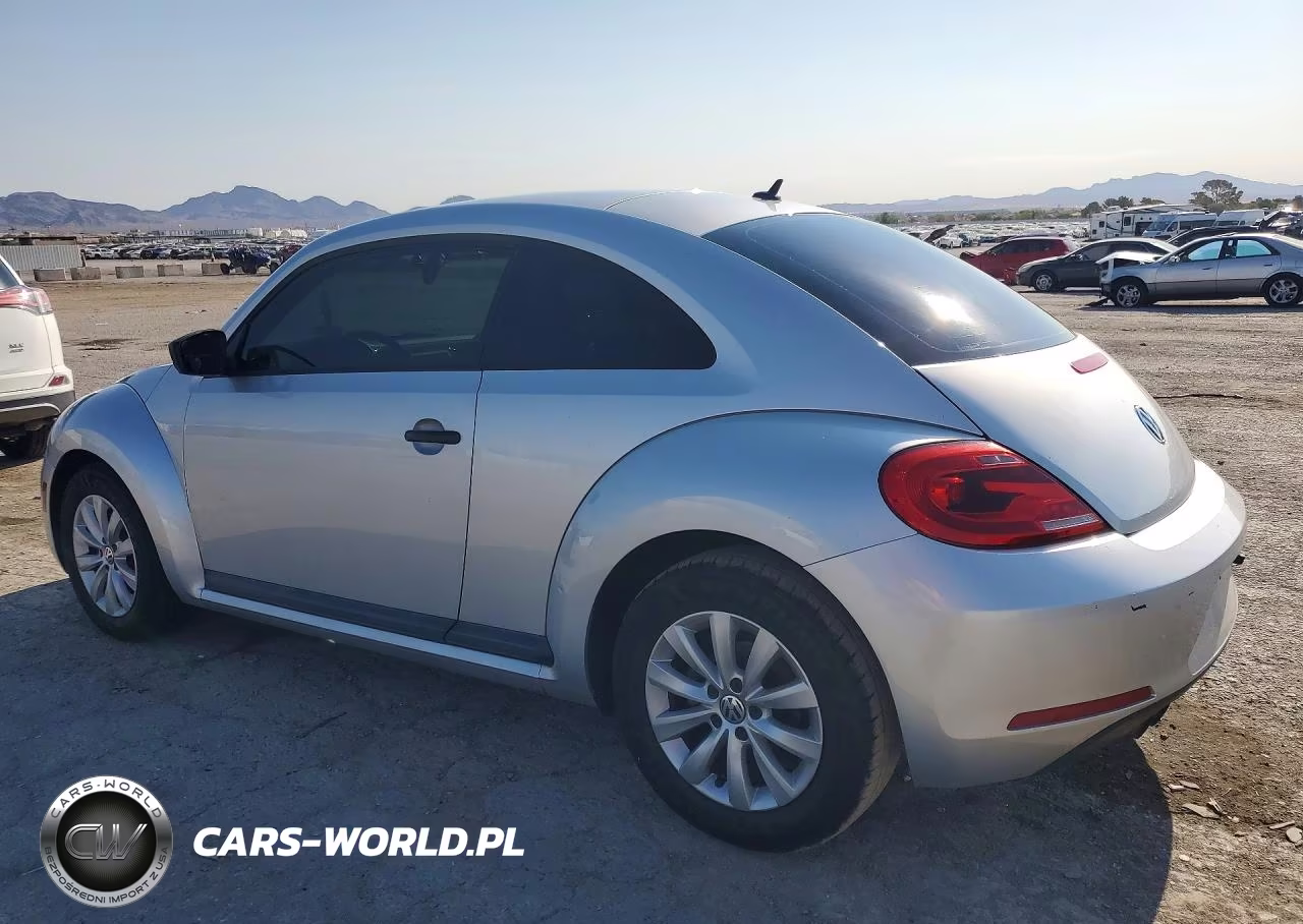 VOLKSWAGEN BEETLE VIN:3VWF17AT6EM642555 - 2