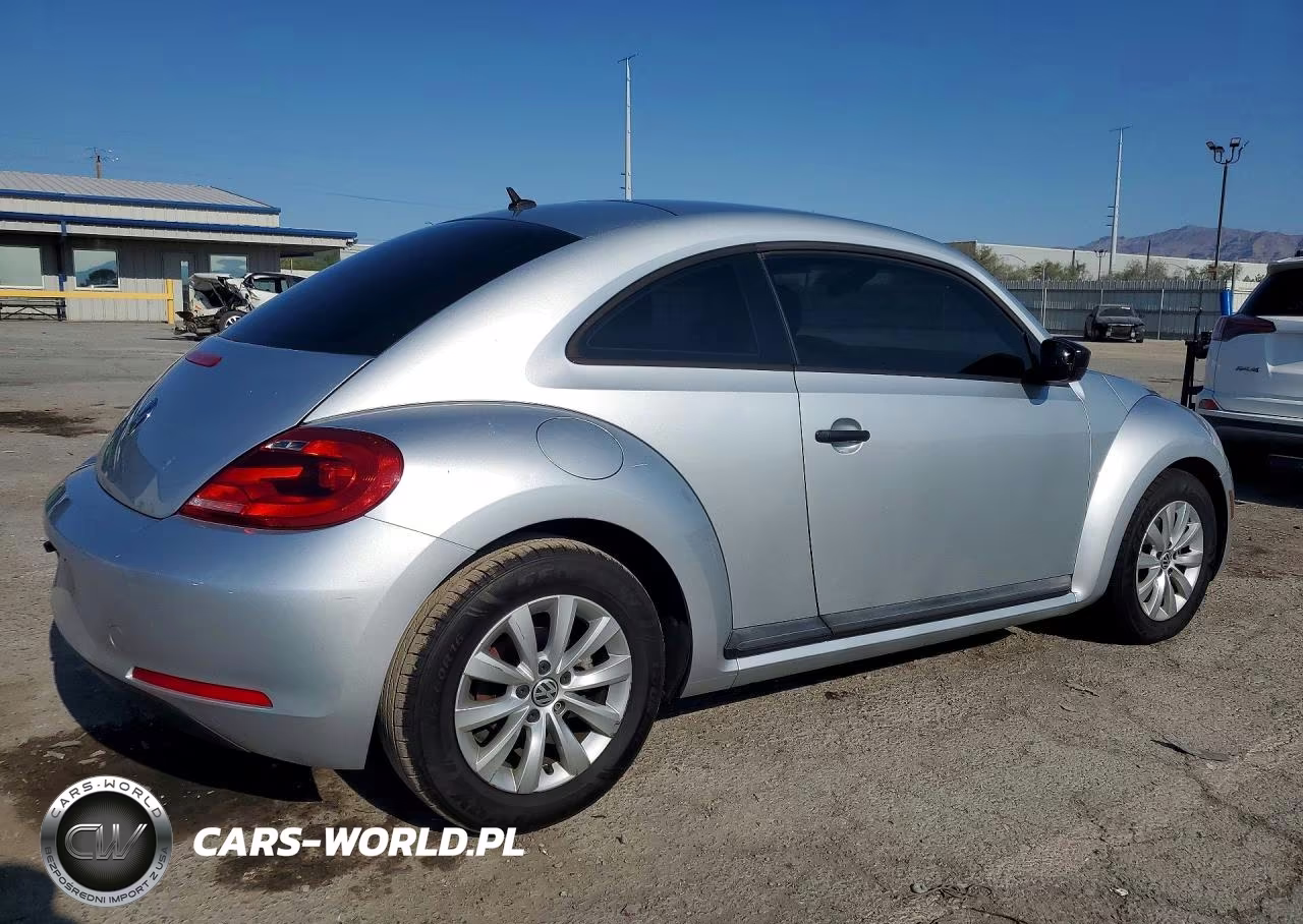 VOLKSWAGEN BEETLE VIN:3VWF17AT6EM642555 - 3