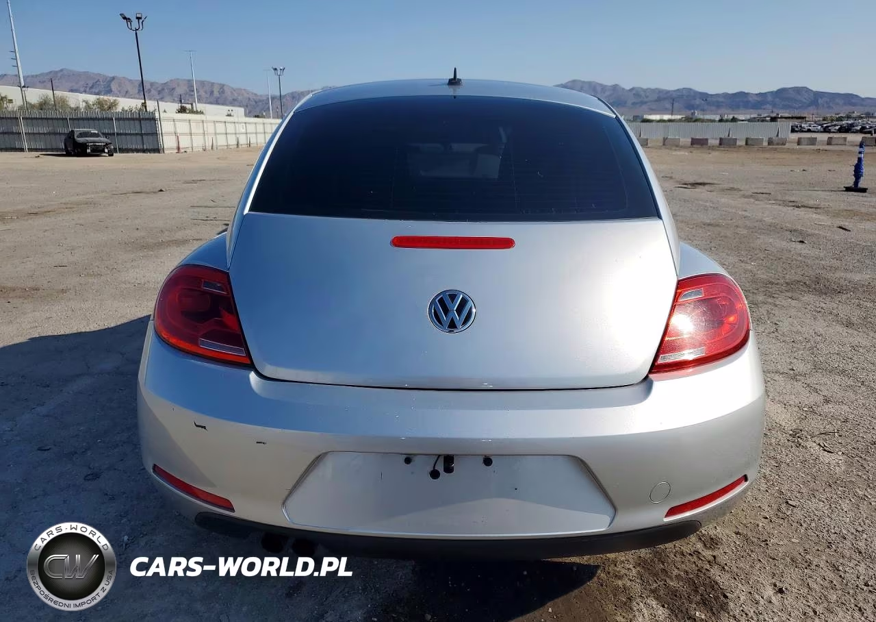 VOLKSWAGEN BEETLE VIN:3VWF17AT6EM642555 - 6