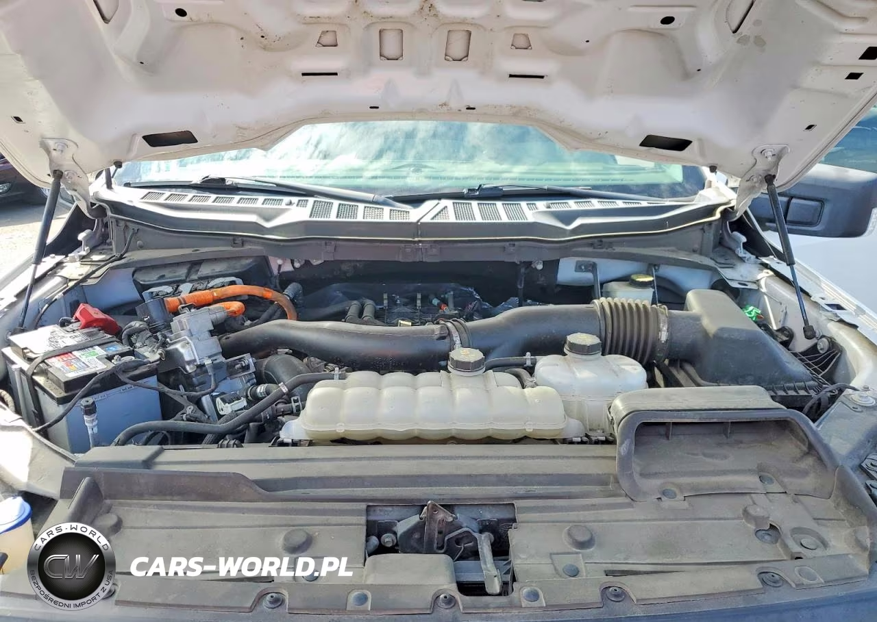 2021 Ford F150 Supercrew VIN:1FTFW1CD3MFC65690 - 11