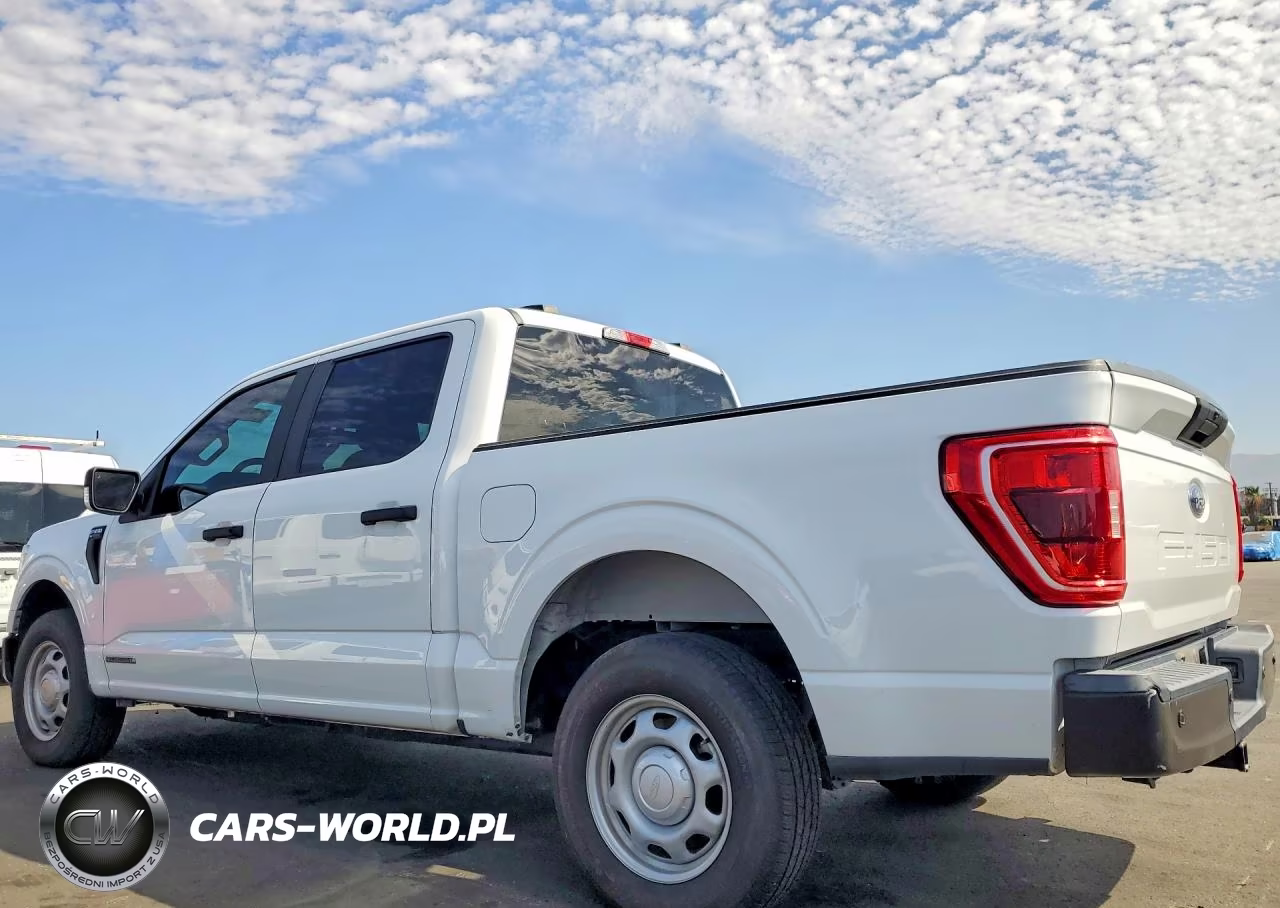 2021 Ford F150 Supercrew VIN:1FTFW1CD3MFC65690 - 2