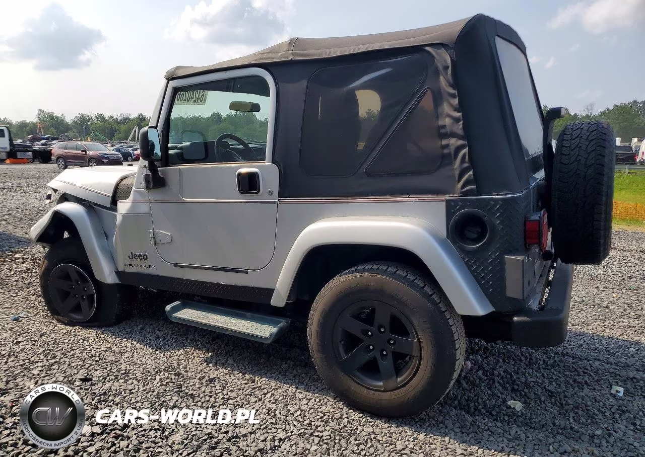 2003 Jeep Wrangler Commando VIN:1J4FA39S63P363132 - 2