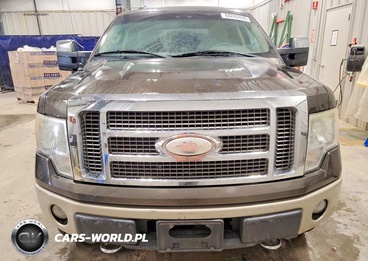 2009 Ford F150 Supercrew VIN:1FTPW14V89KC22876 - 5