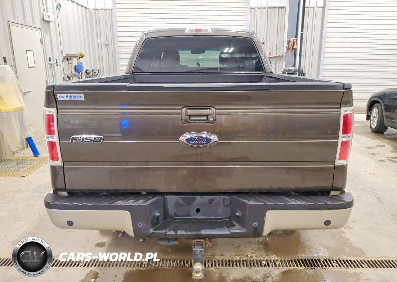 2009 Ford F150 Supercrew VIN:1FTPW14V89KC22876 - 6