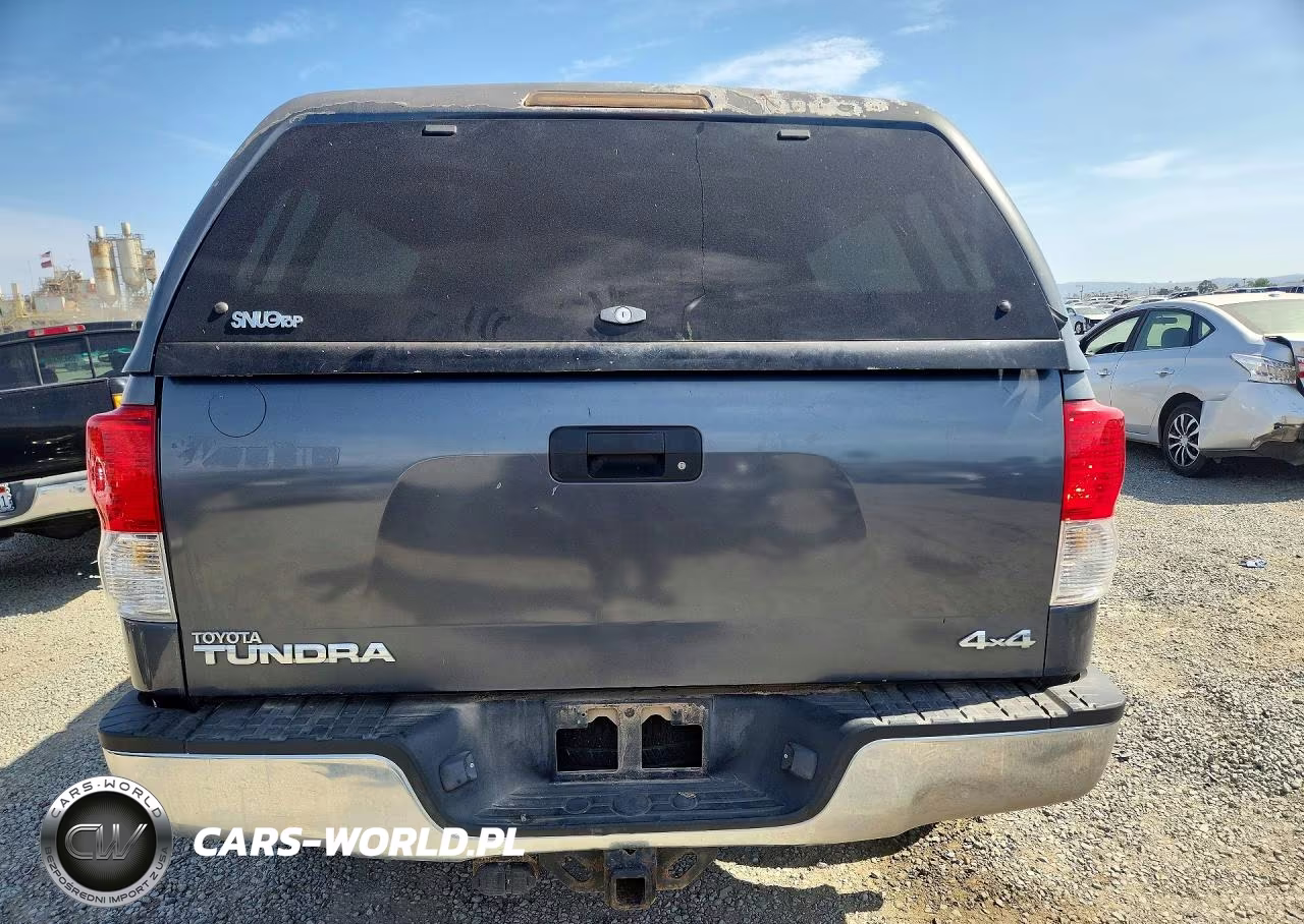 2010 Toyota Tundra Double Cab Sr5 VIN:5TFUM5F1XAX007002 - 6