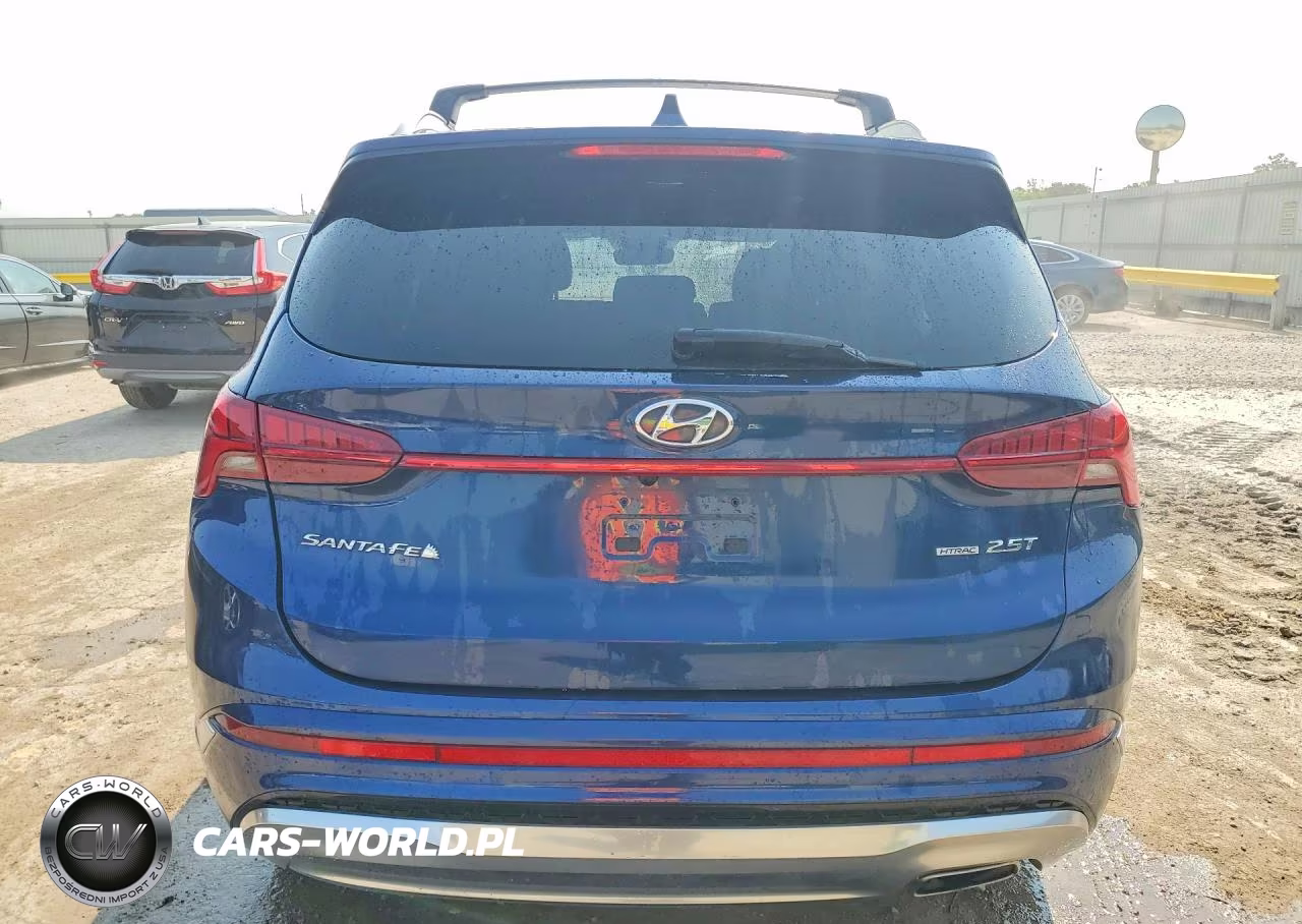 2022 Hyundai Santa Fe Calligraphy VIN:5NMS5DAL6NH443321 - 6
