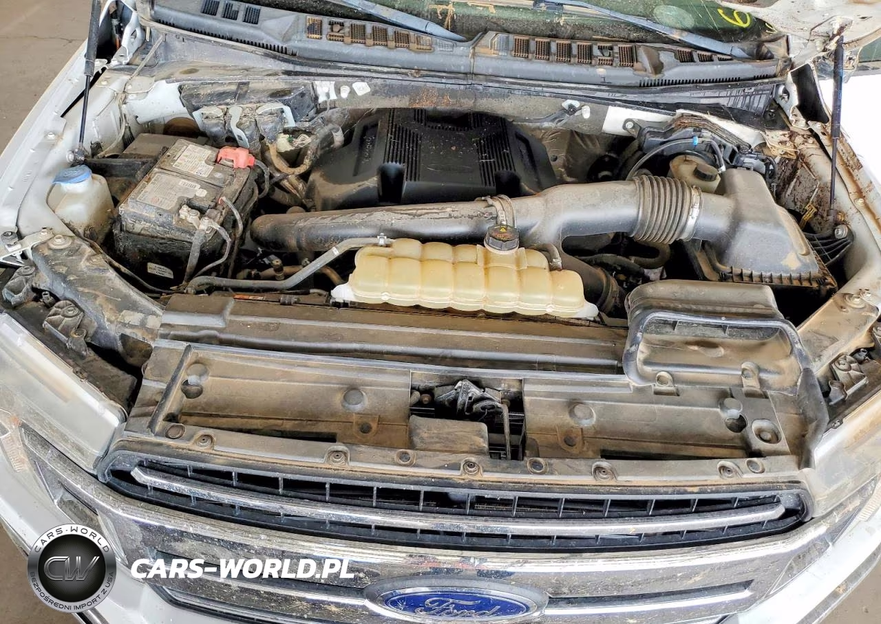 2020 Ford F150 Supercrew VIN:1FTEW1E43LKE06627 - 11