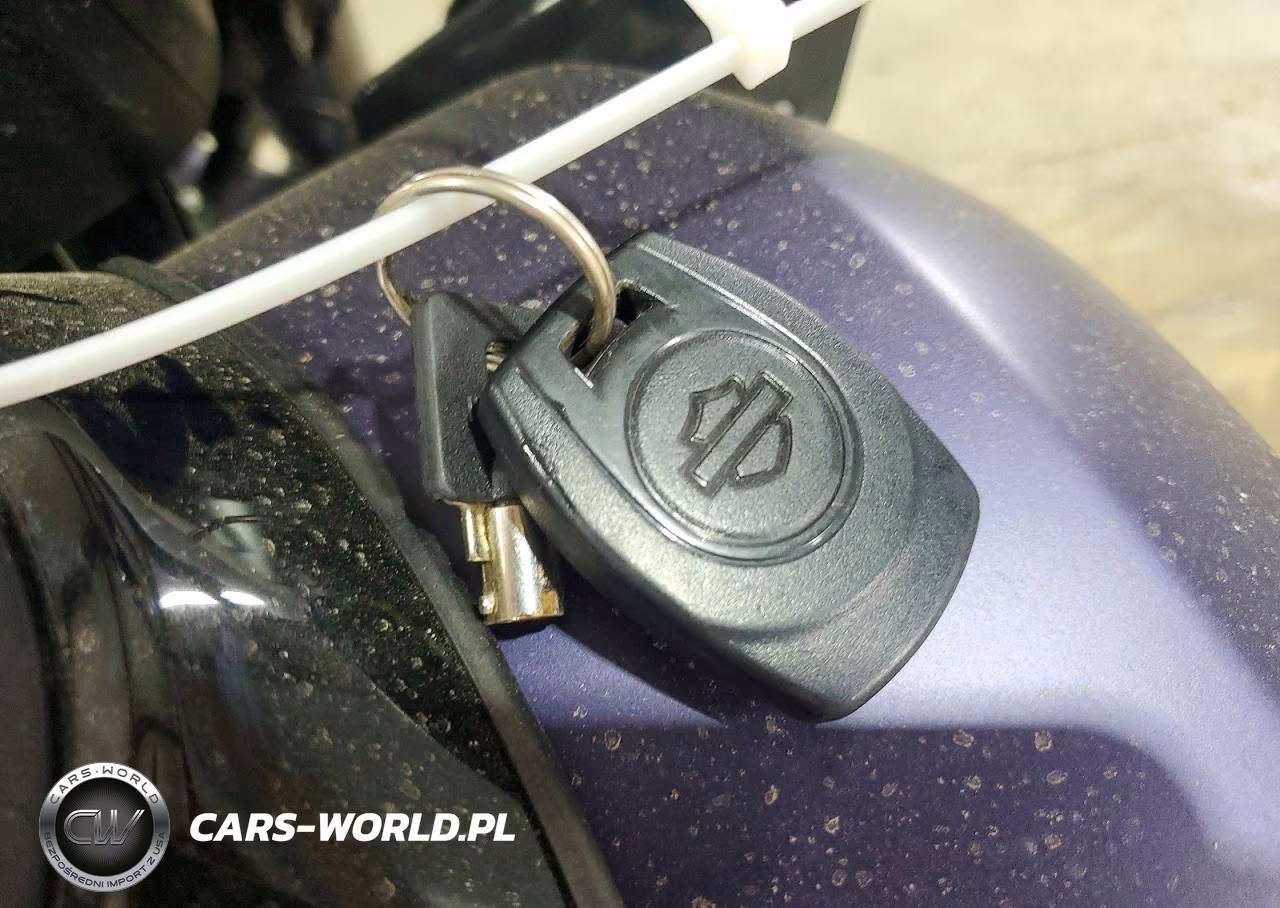 2025 Harley-Davidson Fltrx VIN:1HD1KH717SB634004 - 8