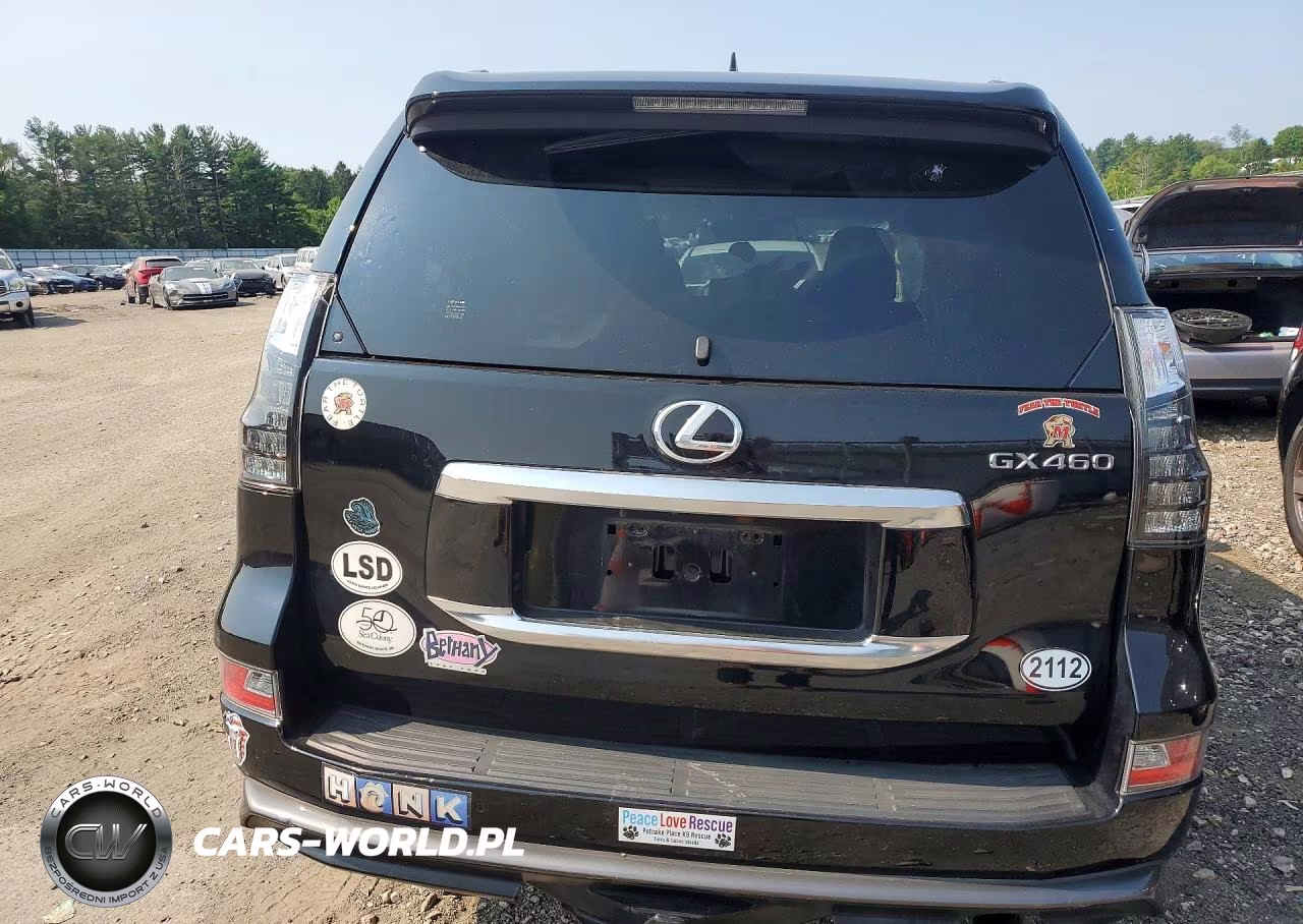 2023 Lexus Gx 460 Luxury VIN:JTJGM7BX1P5354674 - 6