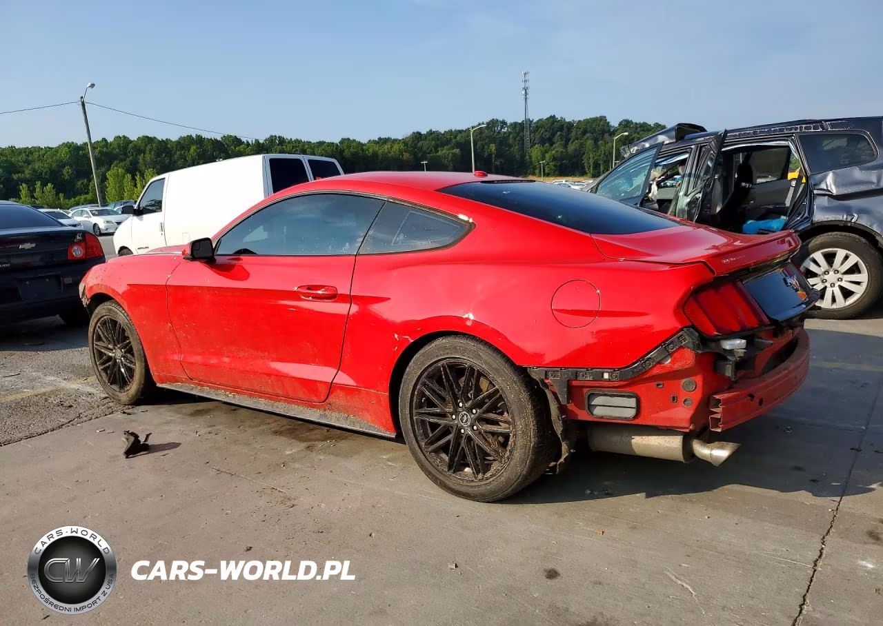 2017 Ford Mustang VIN:1FA6P8TH6H5282364 - 2