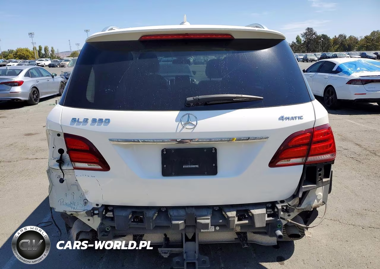 2017 Mercedes-Benz Gle 350 4Matic VIN:4JGDA5HB0HA877252 - 6
