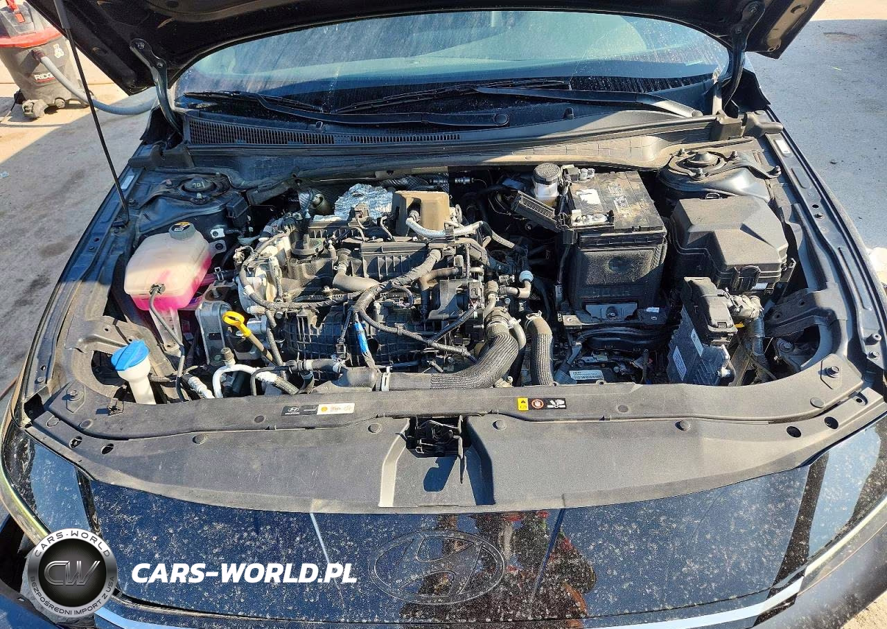 2025 Hyundai Elantra N Base VIN:KMHLW4DK2SU030185 - 11
