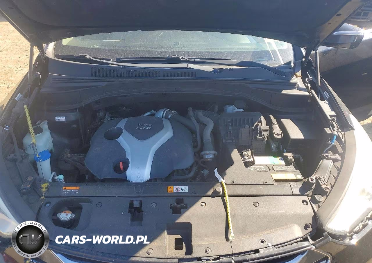 2014 Hyundai Santa Fe Sport 2.0T VIN:5XYZUDLA8EG196827 - 12
